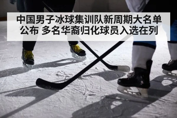 中国男子冰球集训队新周期大名单公布 多名华裔归化球员入选在列
