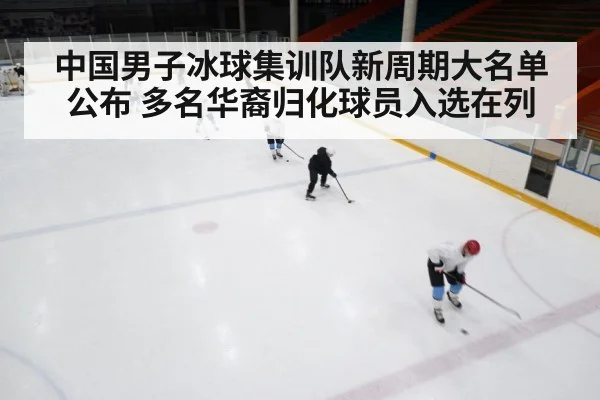ice hockey rink