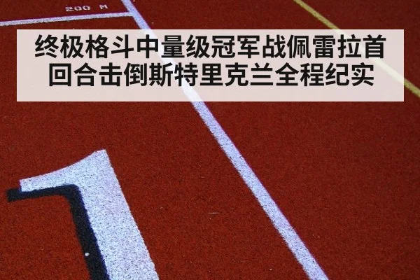 终极格斗中量级冠军战佩雷拉首回合击倒斯特里克兰全程纪实